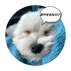 arisa_20230307215838