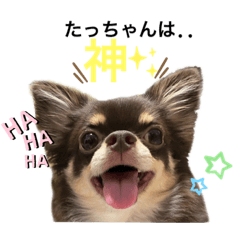 koto_20230308022346