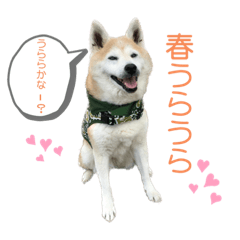 Shiho_20230307223815