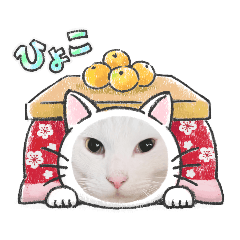 hana_20230308104634