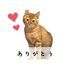 komano_20230308123451