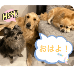 momoko_20230308131533