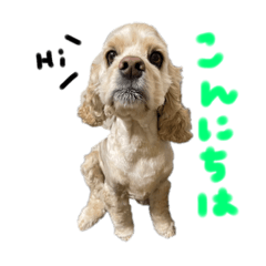 kana_20230308140233