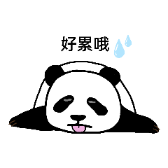 Daily life routine of panda 3