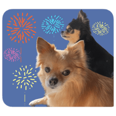 shiho_20230307200224