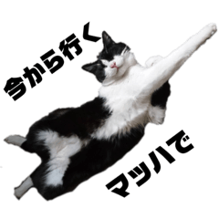 Sakura_20230307234628