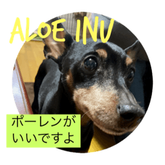 Yuka_20230308123154