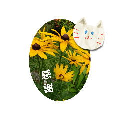 sakura_20230309093648