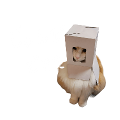 かしこすぎない猫のスタンプ