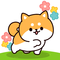 Answer Shiba Dog2 (Pop-up)