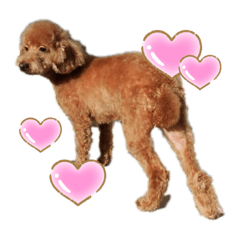 kokowan