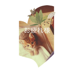 suzu_20230308220952