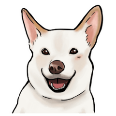 The White Dog daily life 3