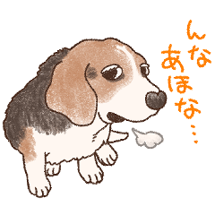 Stupid dog Mikan [Kansai dialect2]
