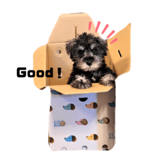 Nao_20230308211119