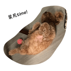 Chole_20230308225440 – LINE stickers | LINE STORE