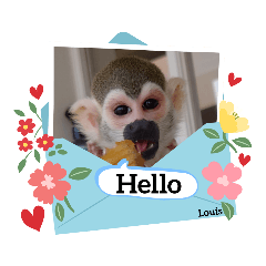 arisa_20230309133647