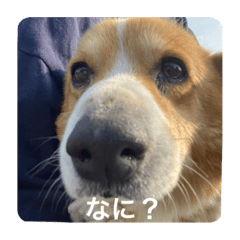 suzu_20230309005713