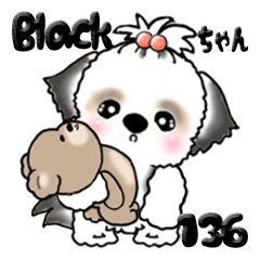 シーズー犬 136『black & white』