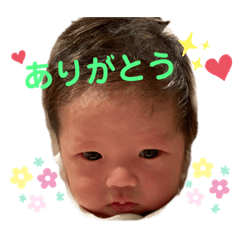 dan_20230309153528