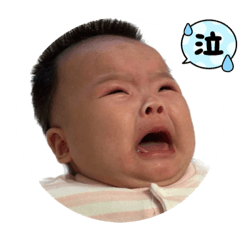 茉莉表情包3/2