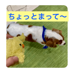haseyuka_20230308002652