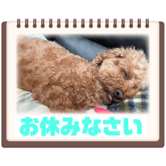 hana_20230309155412