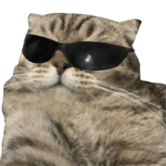thug cat gang V.3 – LINE stickers | LINE STORE
