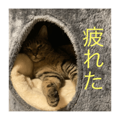 konnitiha_20230309184211