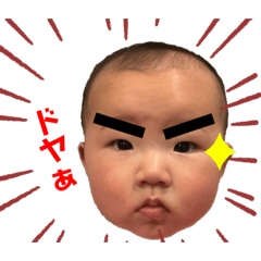 Hikari_20230309214805