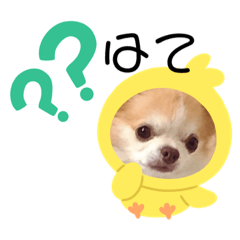 Nico_202303092002325