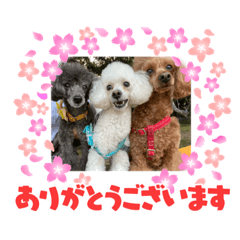 Yuka_20230309233810