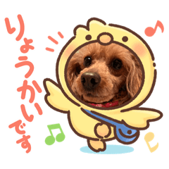 Yuka_20230310112851