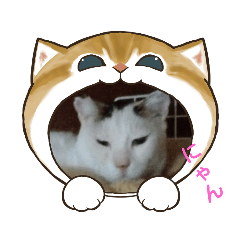 yukari_20230310115122