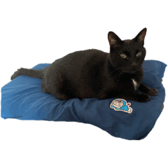 asako_20230309232528