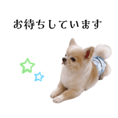 nozomi_20230310105421