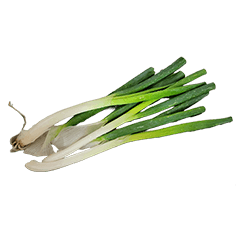 Food Series : Some Scallion