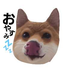 yuka_20230310160107