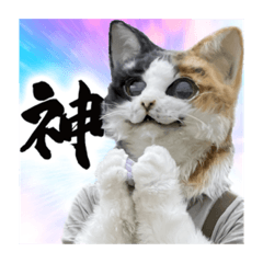 ruru_20230310164642