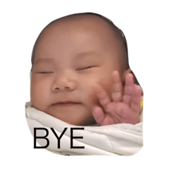 Boy Han