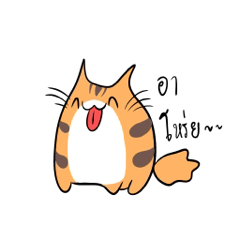 The orange tiger