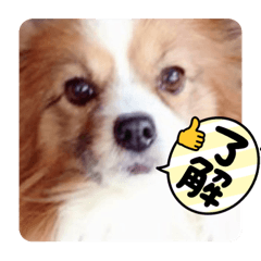 yuka_20230310221938