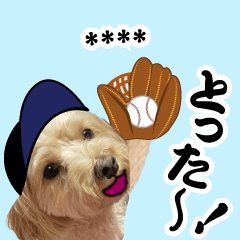 カスタム!野球実況犬のマルちゃん(実写）