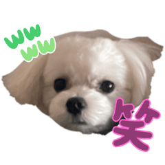 omochi_20230310203630
