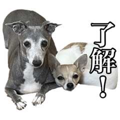 mizuki_20230311000739