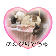 megumi_20230311002901