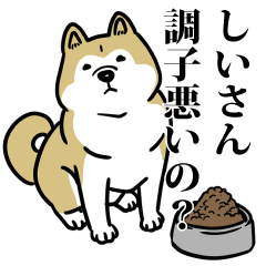 しいリスペクト（プラチナ）