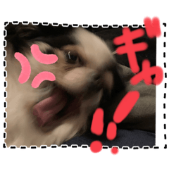 mitiko_20230311003203