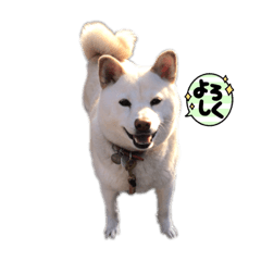 HANA_20230311011154