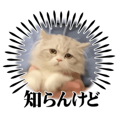 takuya_20230311123149
